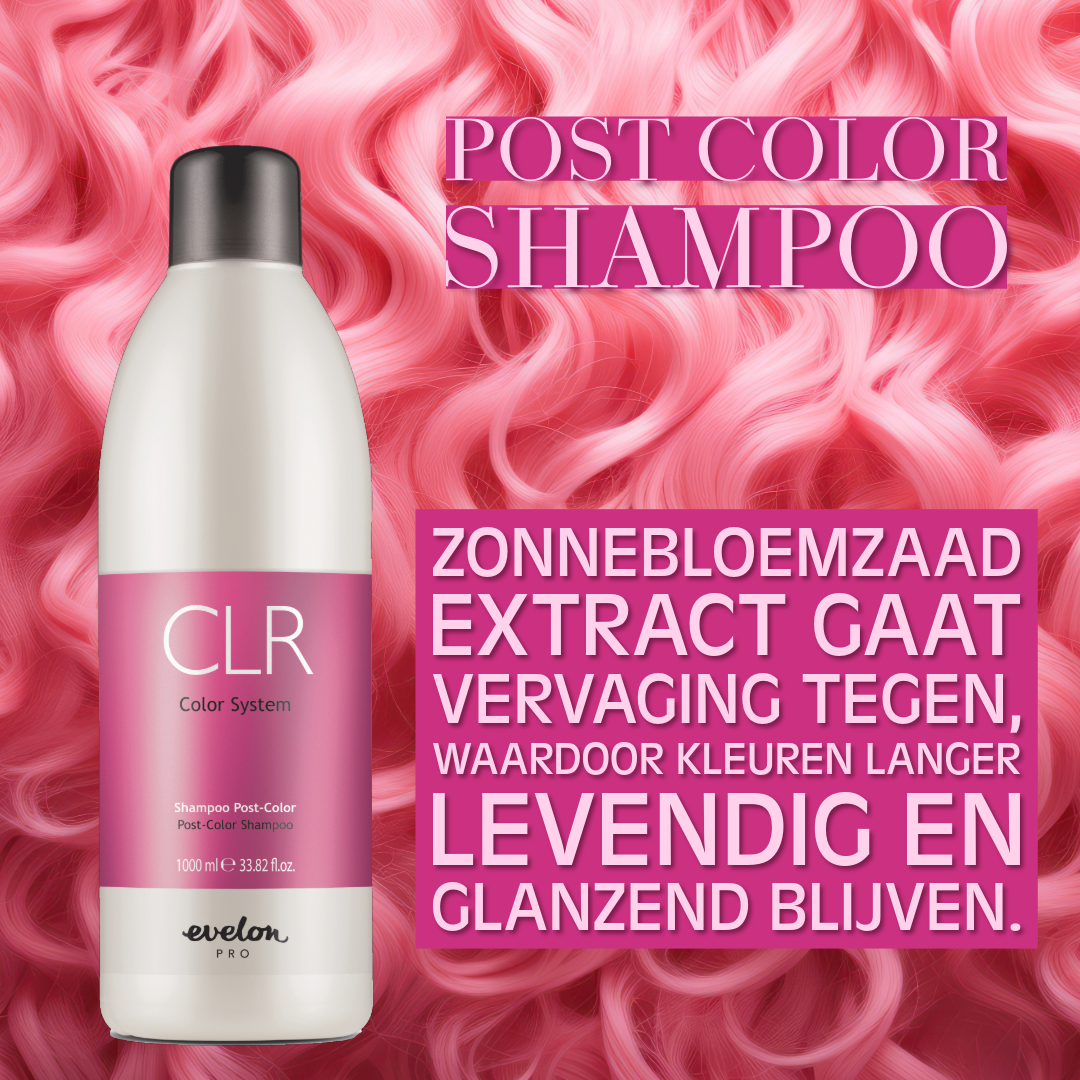 SHAMPOO 1000ml POST COLOR