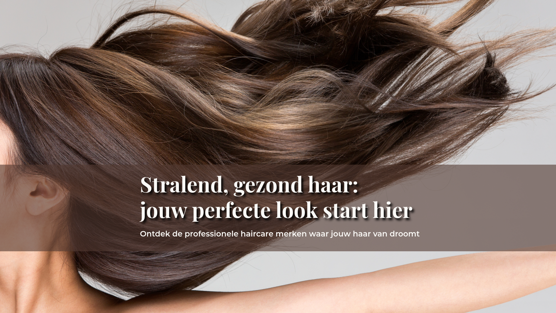 Haircare Pro banner met gezond glanzend haar en tekst over professionele haircare merken voor salonresultaat thuis.